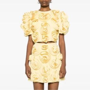 NWT Luxe Dress Rose-appliqué Cropped Top / Skirt Set In Gelb Yellow Large